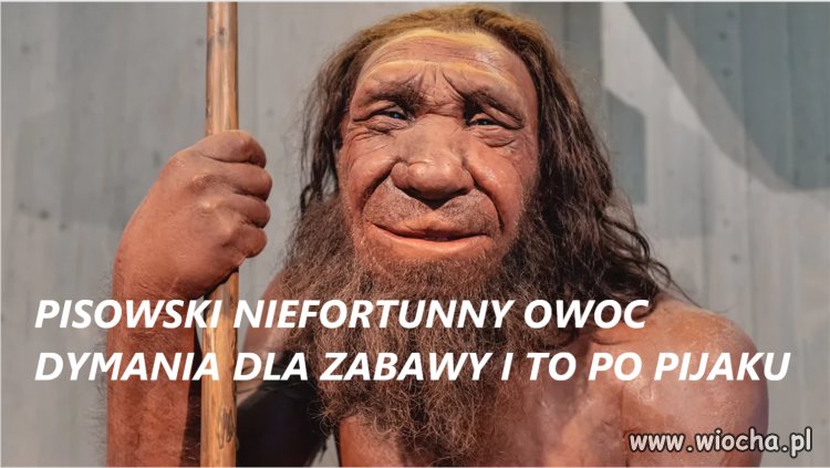 Cosik o inteligencji