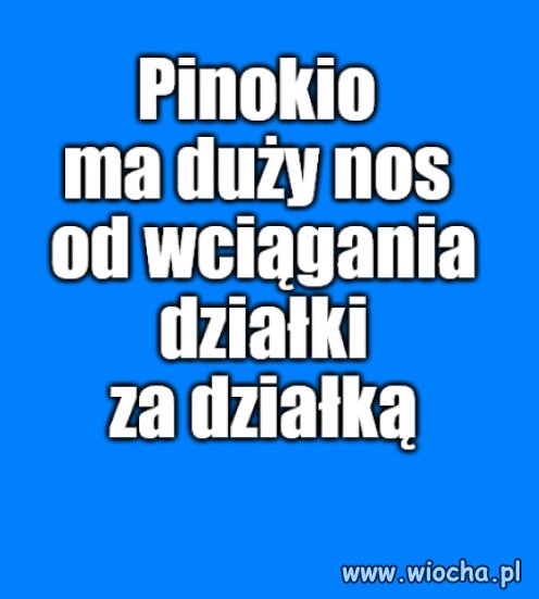 Kłamstwa też mają wpływ