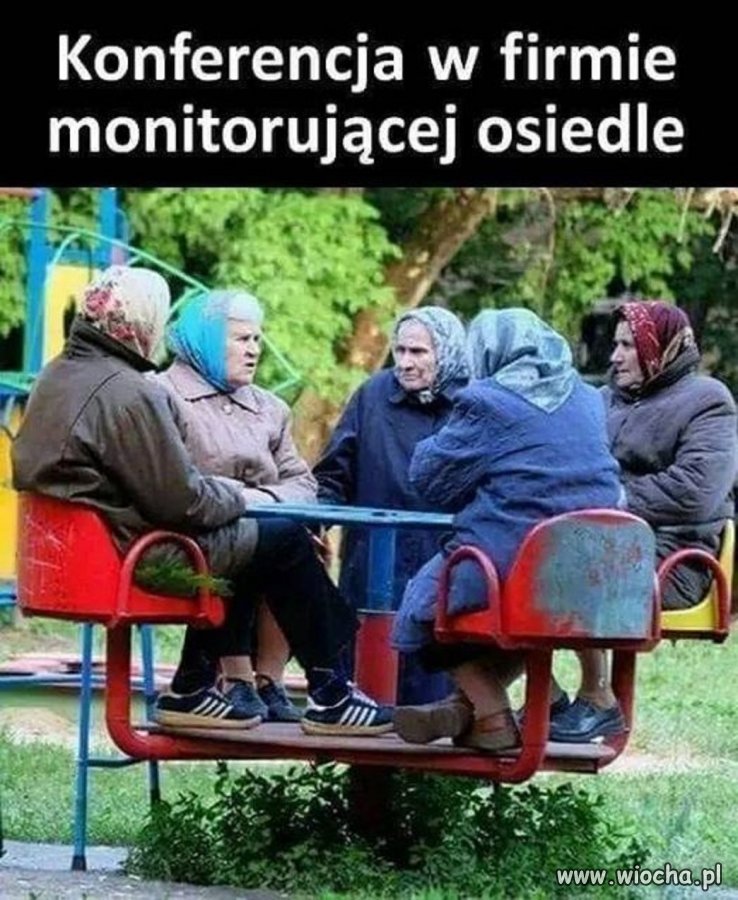 Zastanawiają się...