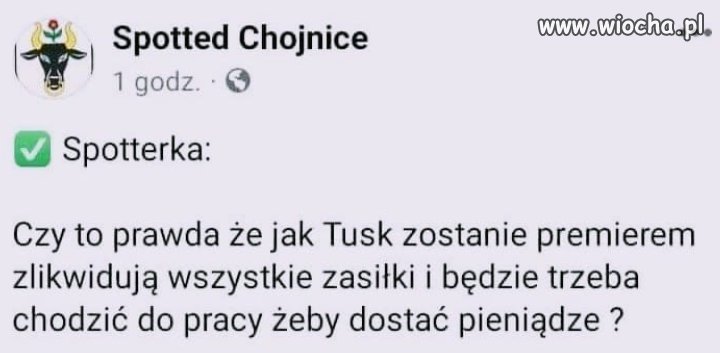 Madka Polka