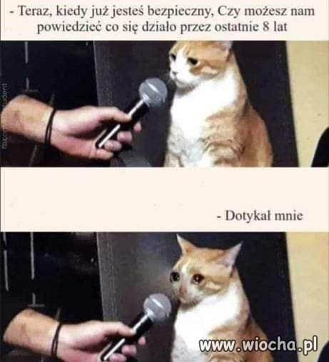 Teraz każdy, a zwłaszcza celebryci