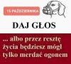 Albo dasz głos