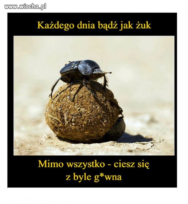 Warto pamiętać