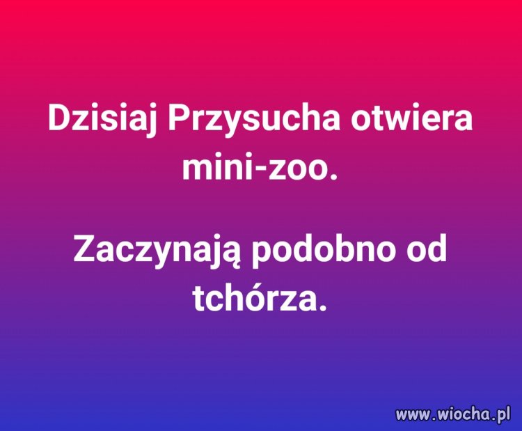 Nowe zoo w Przysusze