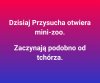 Nowe zoo w Przysusze