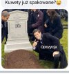 Piękne ujęcie 