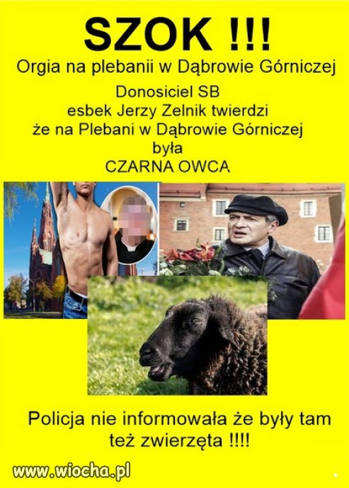 Cały kler to czarne owce, a raczej barany.