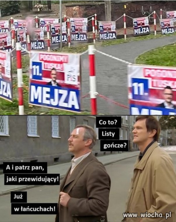 Menda PiSu już w  łańcuchach...
