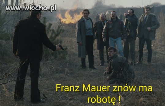 Psy Reaktywacja