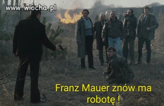 Psy Reaktywacja