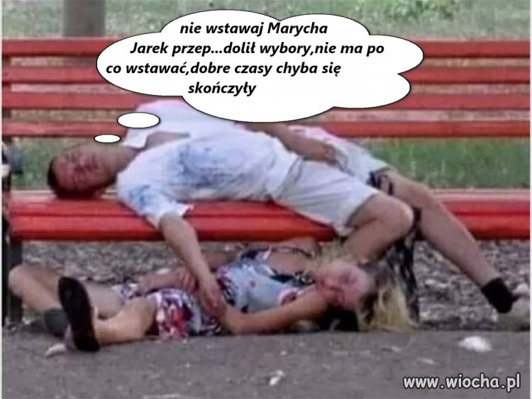 Pisowy elektorat