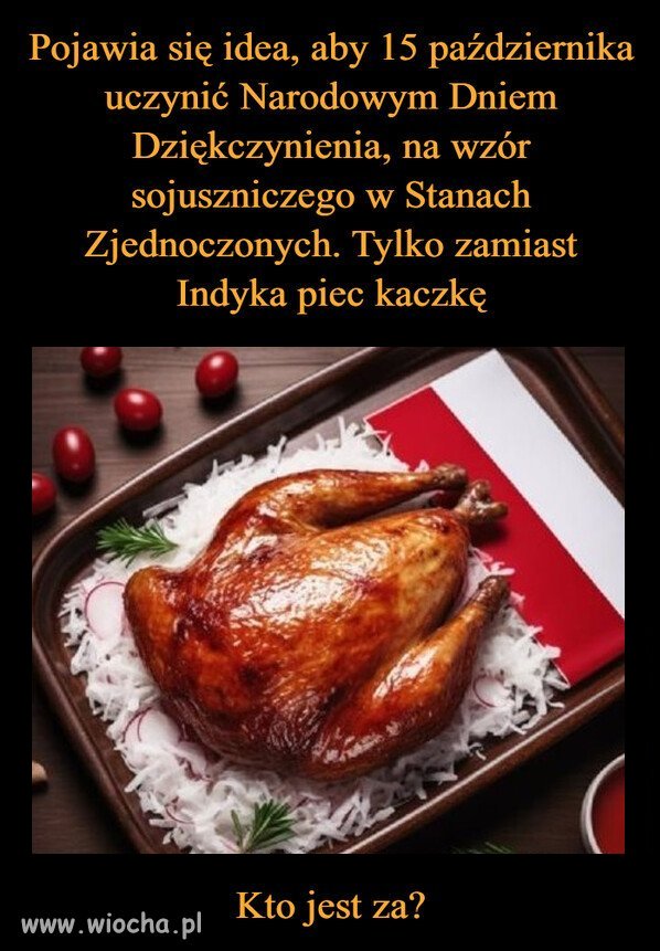 Trochę jak w piosence. Z kaczki zrobił się tchórzliwy zając.