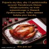 Trochę jak w piosence. Z kaczki zrobił się tchórzliwy zając.