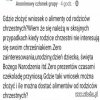 Podobno alimenty można dostać