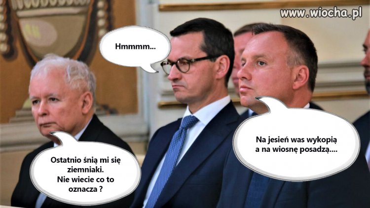 Rozpoczynamy wykopki