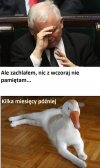 Z życia najbardziej rodzinnego kawalera
