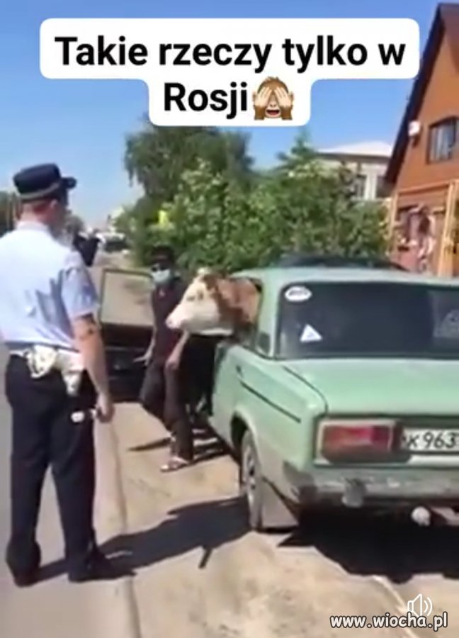 Heheszki