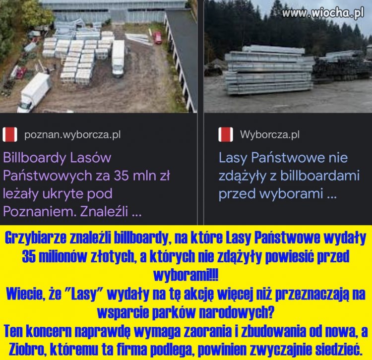 Grzybiarze znaleźli billboardy, 