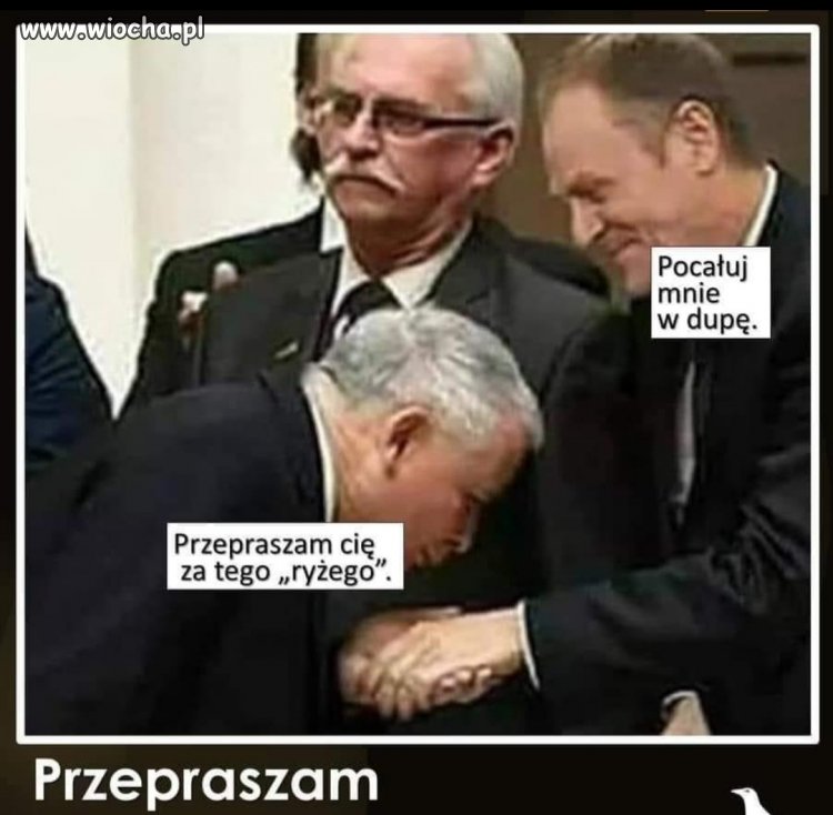 Cham będzie przepraszał Premiera D. Tuska?