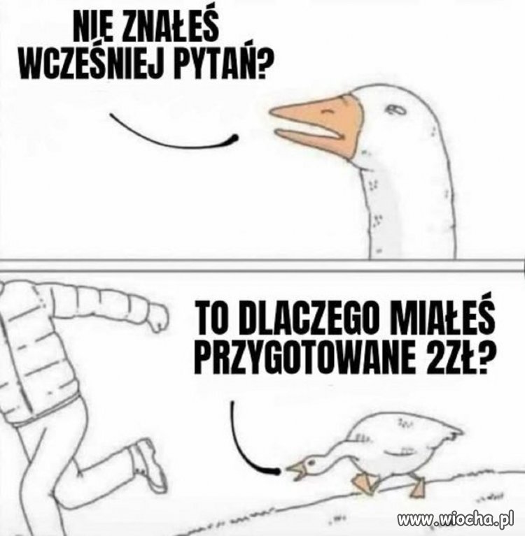 Bez komentarza
