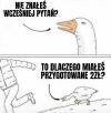 Bez komentarza