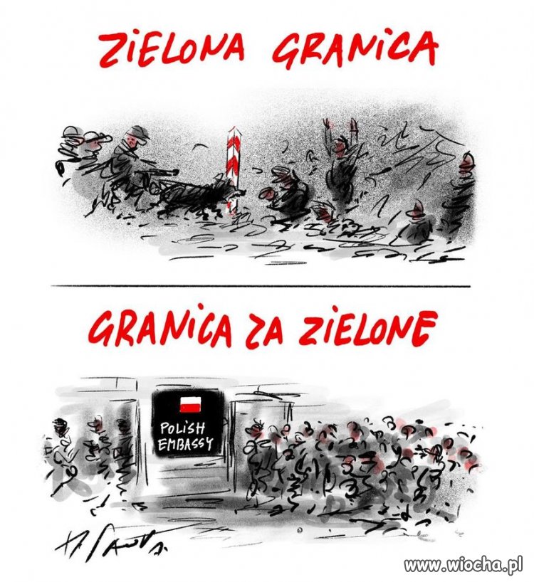 Sawka w formie.