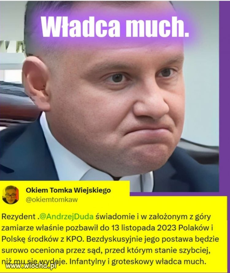 Inteligencja aż bije z tej twarzy