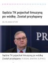 Pisowski degenerat