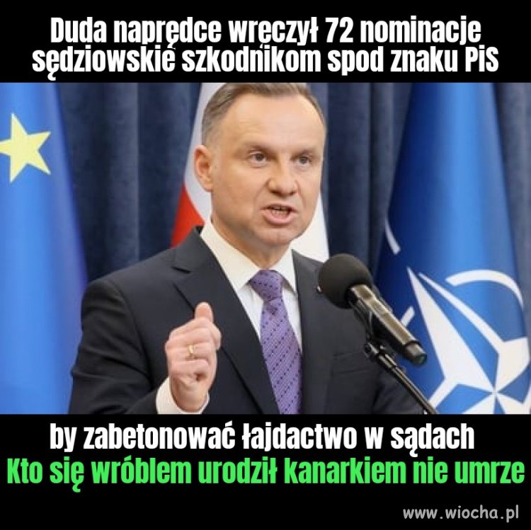 Powiedzieć że zhańbiony 