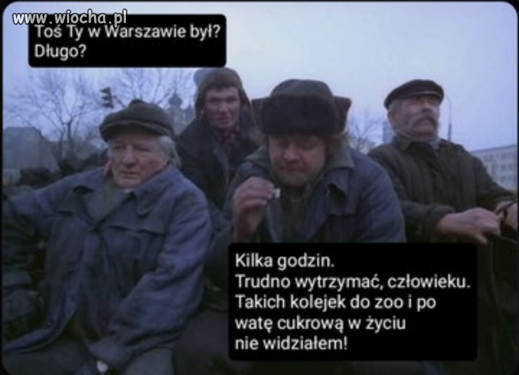 Oczami naczelnika państwa i TVP.