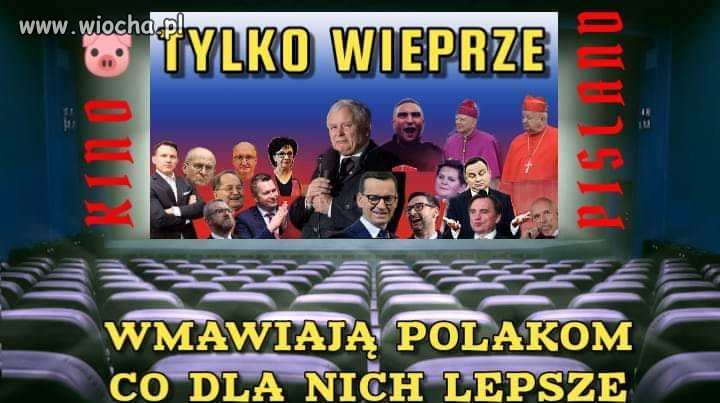 Świński rząd