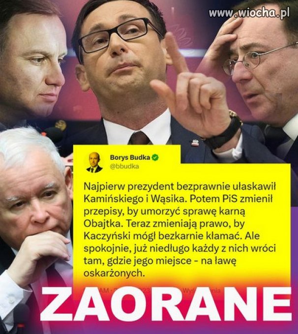 Tak Mafia PiSu zapewnila sobie bezkarnosc...