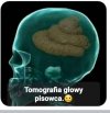 Rewelacja 