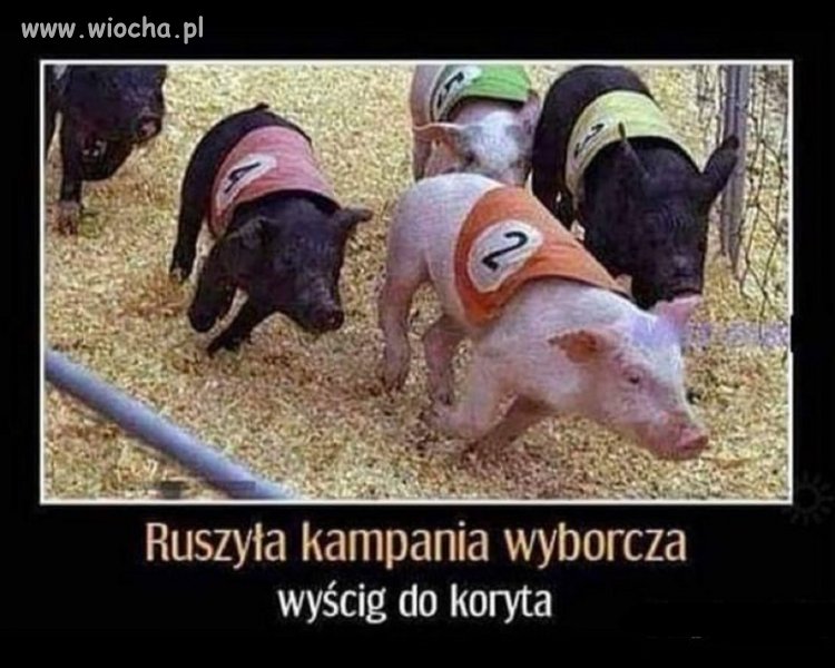 Bez komentarza