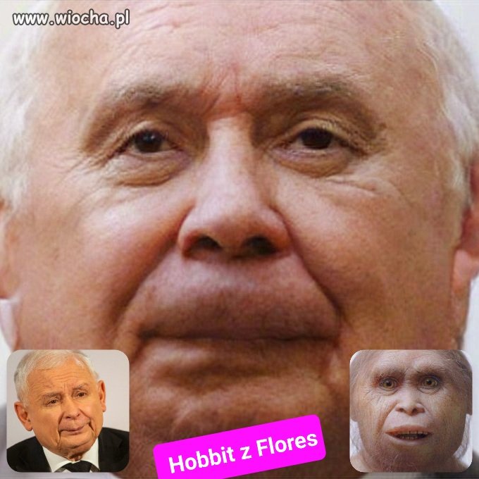 Zrekonstruowano twarz hominida