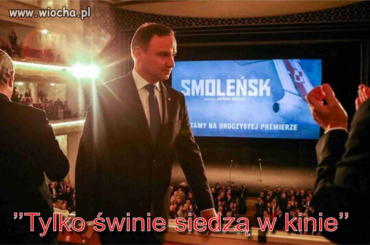 Tylko świnie siedzą w kinie.