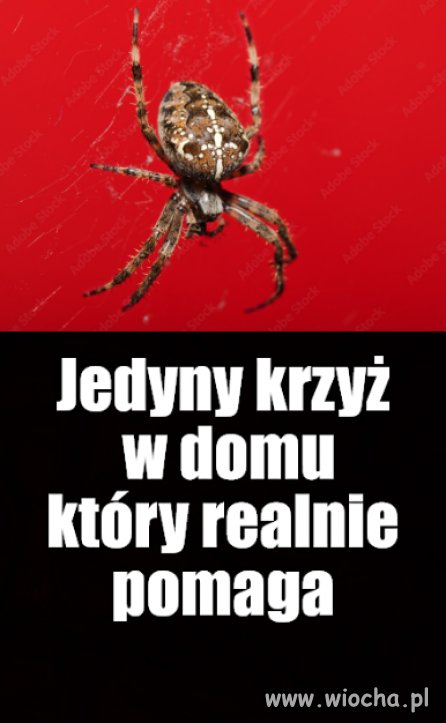 Kaprawym okiem ateisty patrząc ...