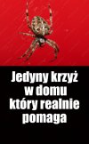 Kaprawym okiem ateisty patrząc ...