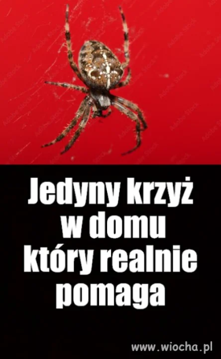 Kaprawym okiem ateisty patrząc ...