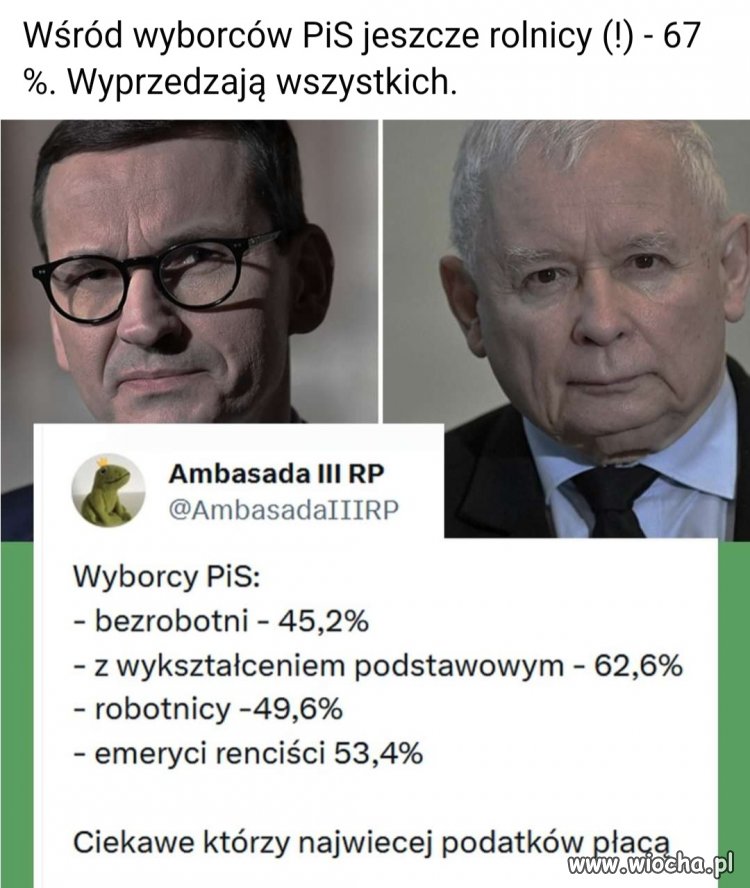 Wyborcy PiS 