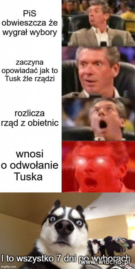 Glupota pisowców jest nieskończona 