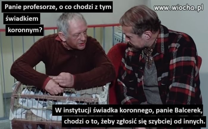 Świadek koronny