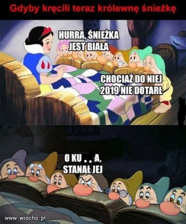 Powiew świeżości