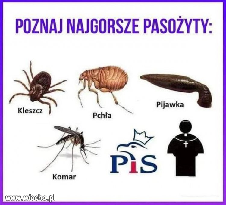 Czarny okupant już na wylocie