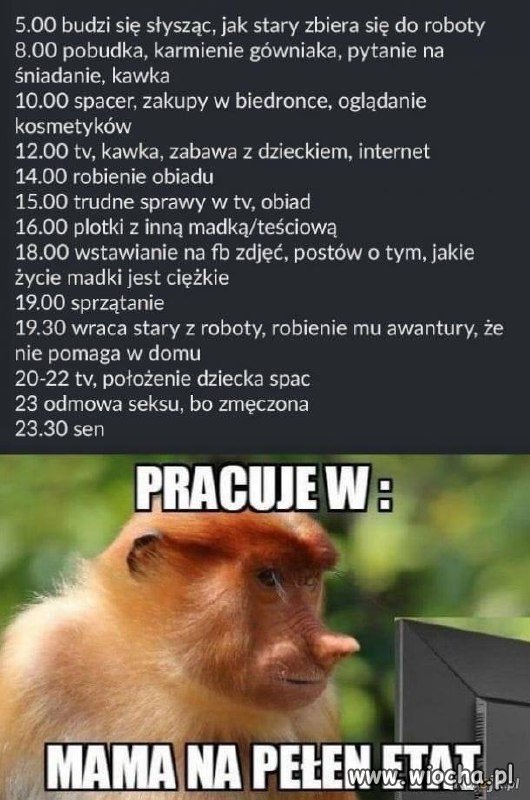 Matka na pełny etat 