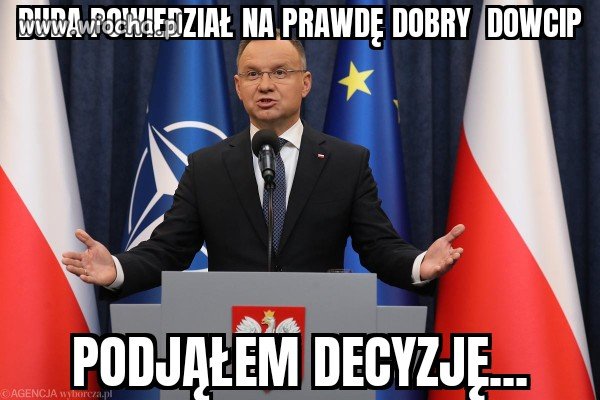 Typ o charyźmie i bystrości dębowej kłody...