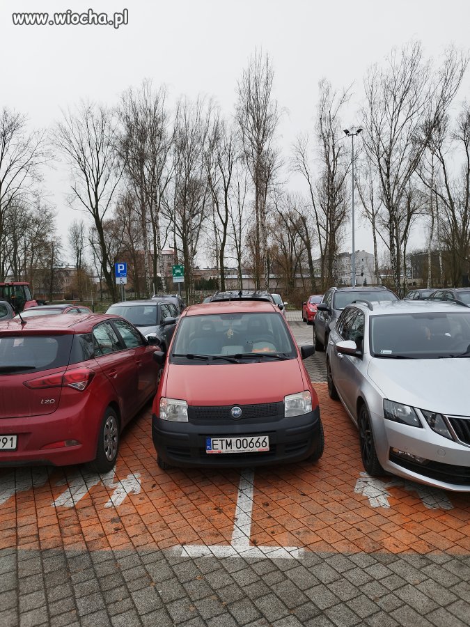 Mistrz parkowania 