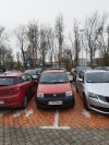 Mistrz parkowania 