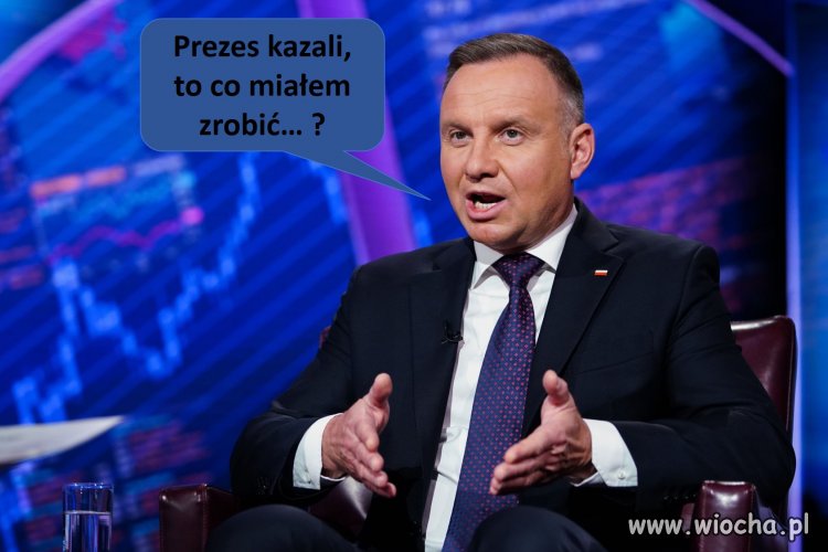 Nasi muszą się nachapać 