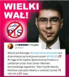 Sprzedajne pisowskie łajzy